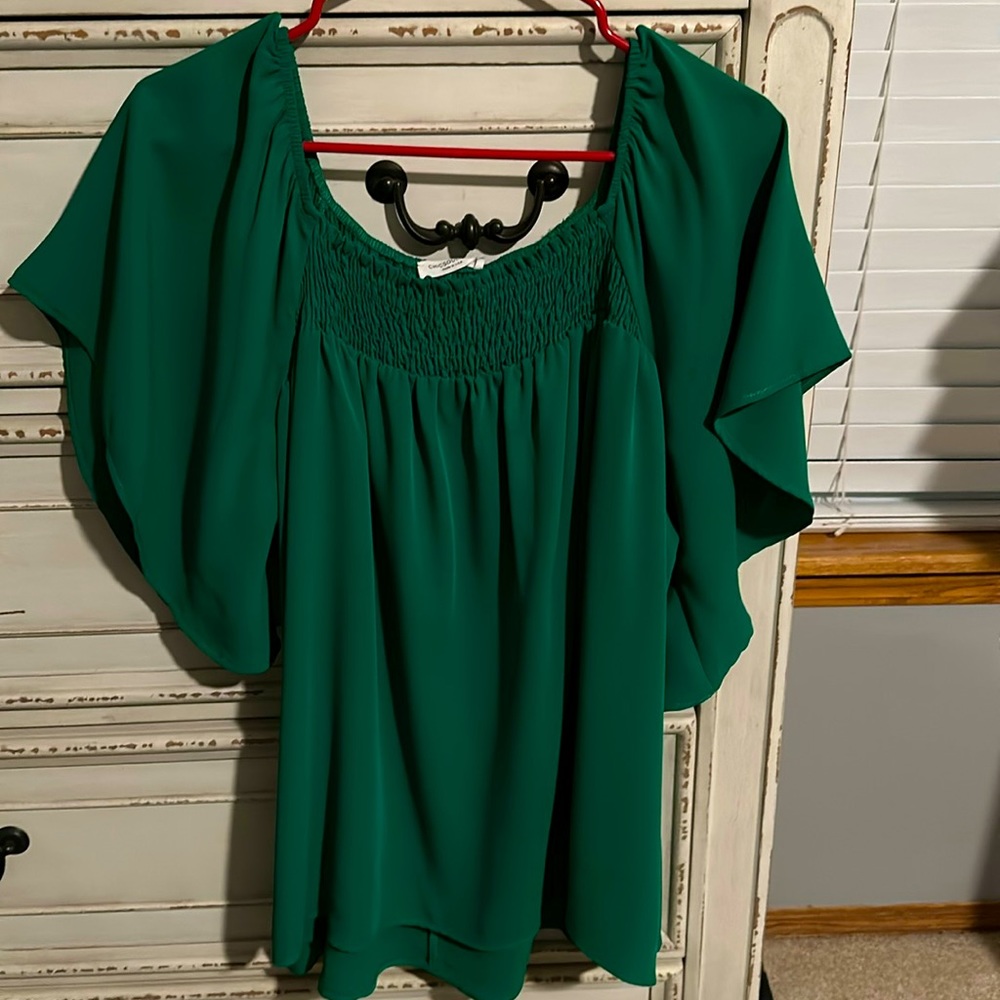 Chic Soul beautiful flowy green top. Size 2x only worn twice.